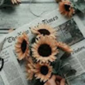 Meet your Posher, Leilani